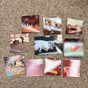 Vintage Dog Photo Collection